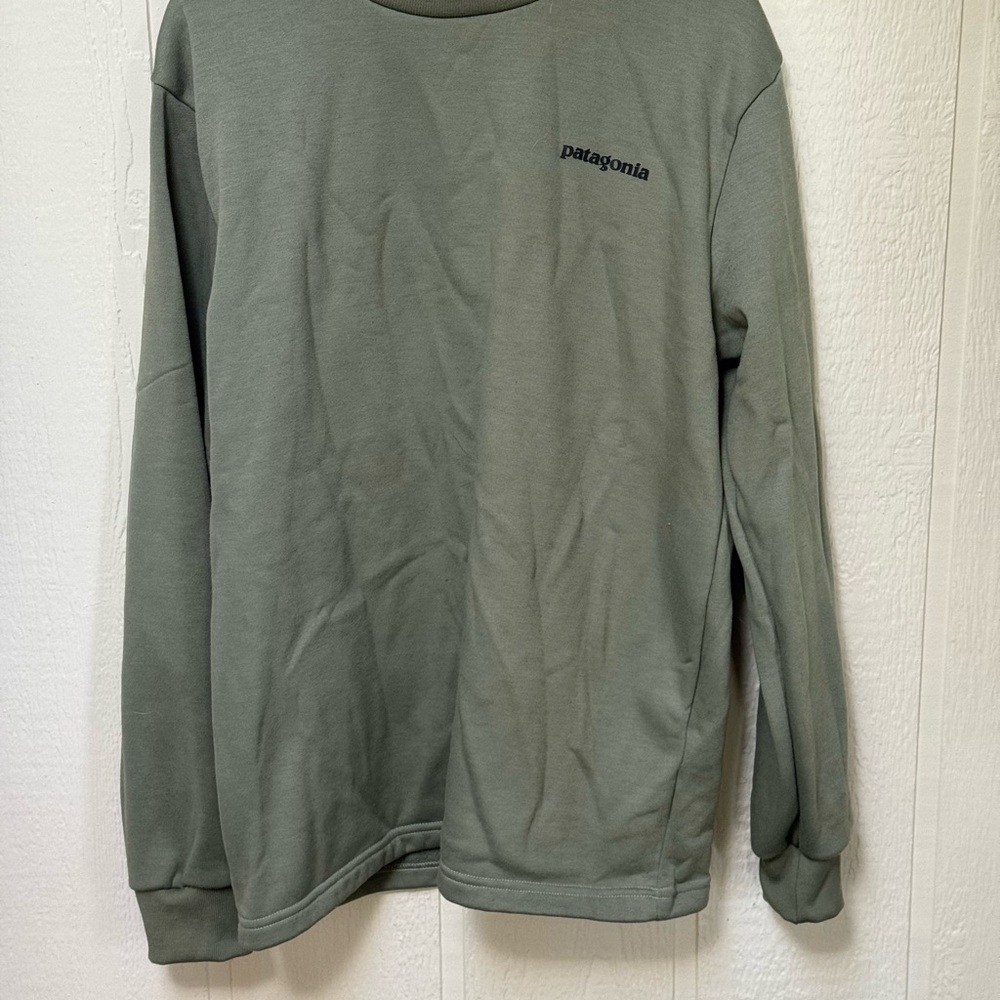 Patagonia Organic Cotton Crewneck Sweatshirt in Green
